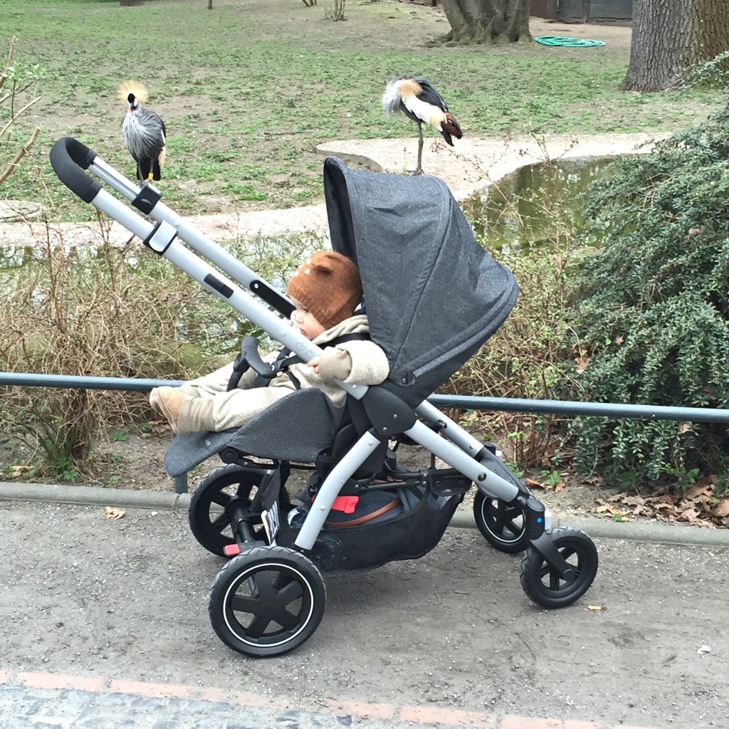 Maxi cosi stella im zoo