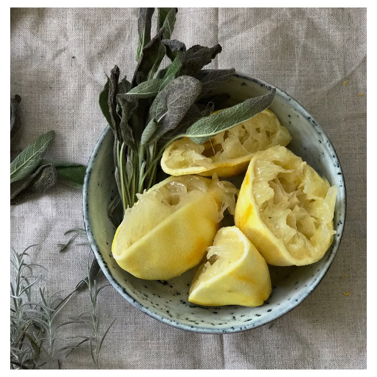 Salbei-Zitronen-Honig gegen Husten! Rezept für Goldenen Hustensaft