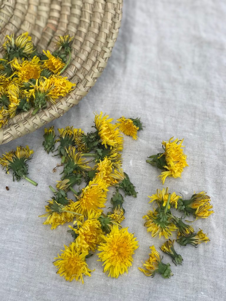 Der beginnende Sommer zeigt sich von seiner schönsten Seite, es blüht und grünt und duftet um uns herum! Die Löwenzahnblüten erfreuen uns mit ihrer kräftig gelben Farbe und sie eignen sich auch als ganz wunderbar zur Herstellung eines Löwenzahnhonig 