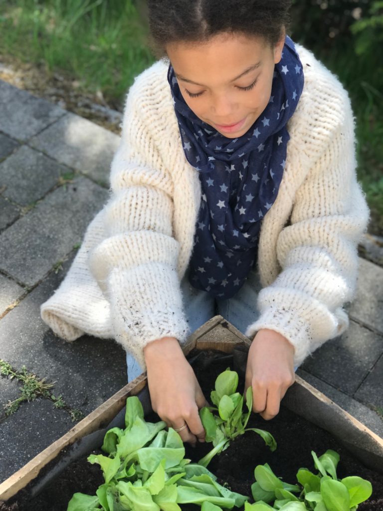 Naschbeete für Kinder sind eine schöne Art und Weise den Kindern das Wachsen der Pflanzen lebensnah zu zeigen und ihnen einen achtsamen Umgang mit Lebensmitteln beizubringen, wie ihr sie anlegt zeige ich euch.Noch mehr schöne Tipps findet ihr auf www.elfenkindberlin.de