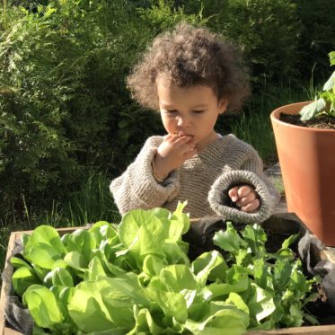 Naschbeete für Kinder sind eine schöne Art und Weise den Kindern das Wachsen der Pflanzen lebensnah zu zeigen und ihnen einen achtsamen Umgang mit Lebensmitteln beizubringen, wie ihr sie anlegt zeige ich euch.Noch mehr schöne Tipps findet ihr auf www.elfenkindberlin.de