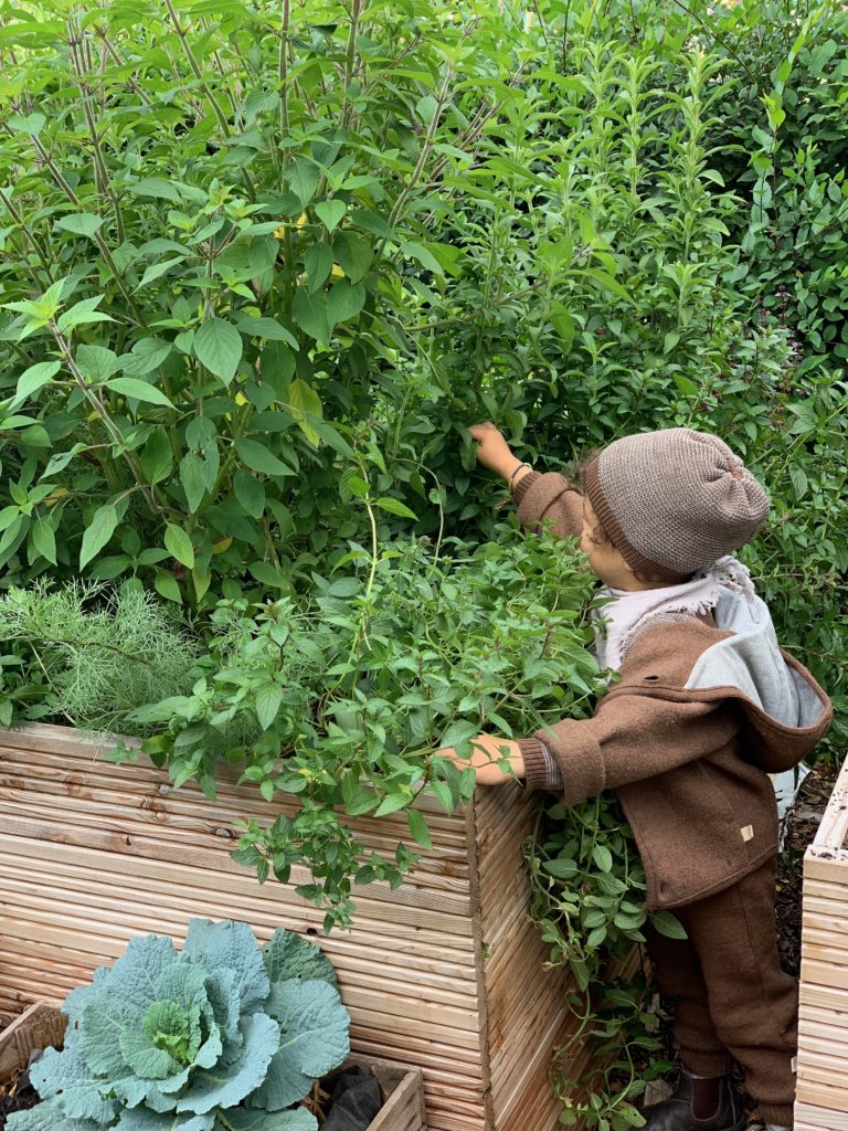 Hochbeete anlegen! Selbstversorgung für Anfänger ! Mit Hochbeeten, durch das Jahr mit frischen Gemüse,Kräutern und Obst.Mehr dazu auf www.elfenkindberlin.de