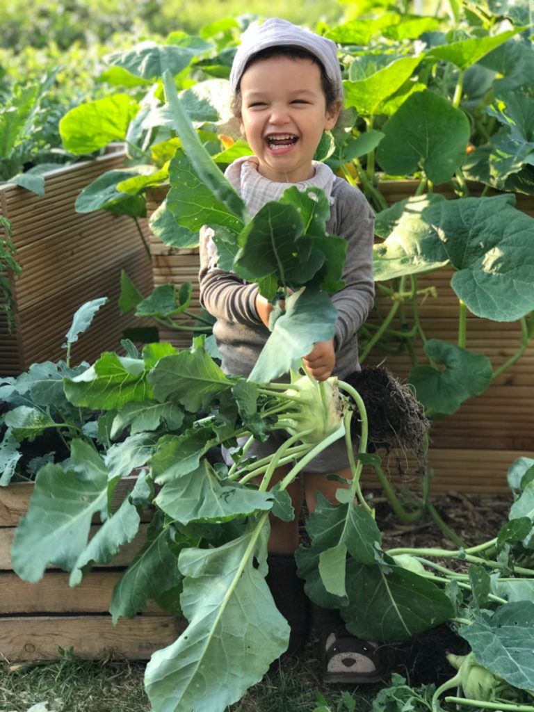 Hochbeete anlegen! Selbstversorgung für Anfänger ! Mit Hochbeeten, durch das Jahr mit frischen Gemüse,Kräutern und Obst.Mehr dazu auf www.elfenkindberlin.de