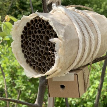 Wildbienenhotel bzw. ein Insekthotel ganz schnell für den eigenen Garten selber bauen, am Besten gemeinsam mit euren Kindern.