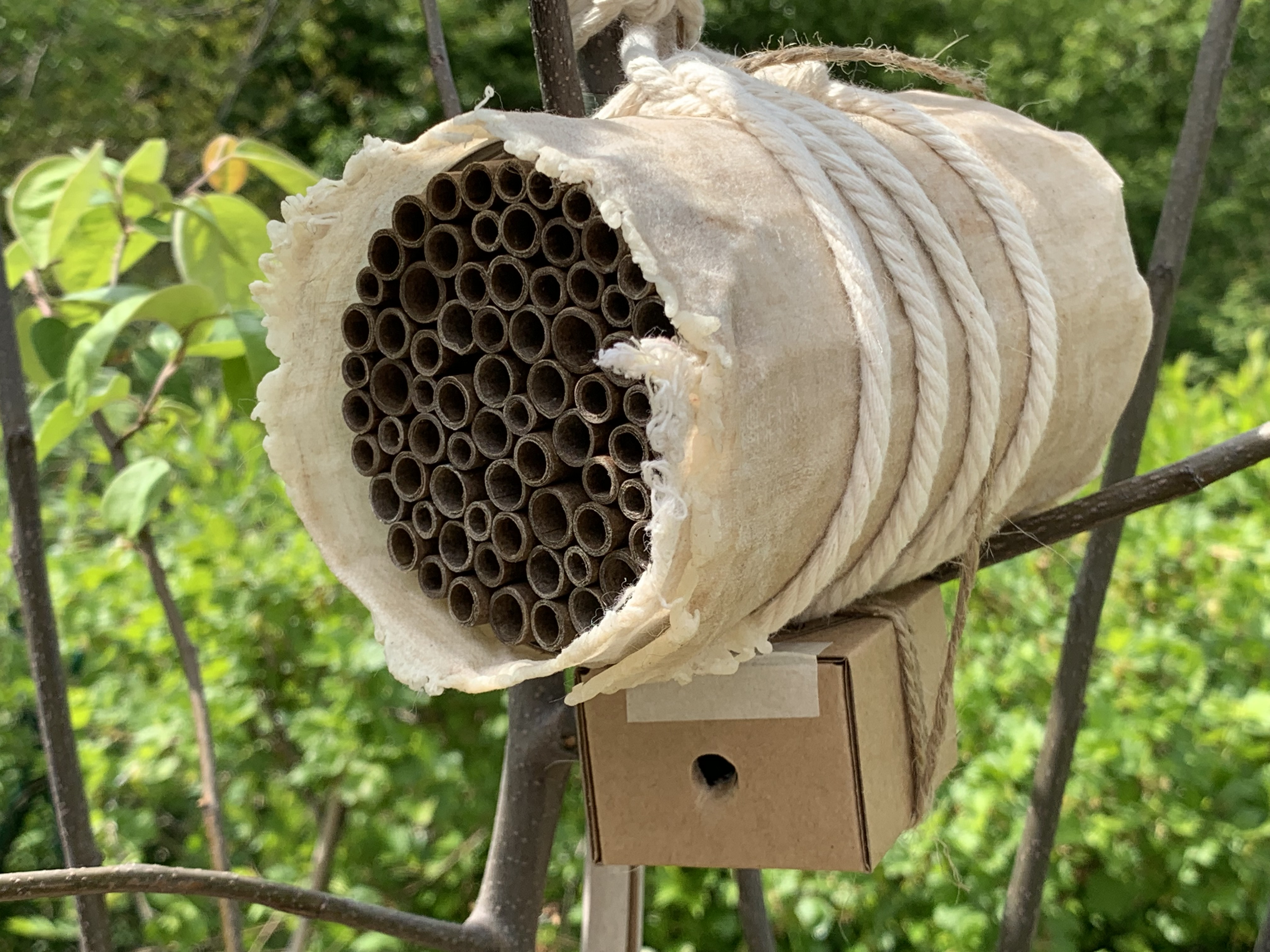 Wildbienenhotel bzw. ein Insekthotel ganz schnell für den eigenen Garten selber bauen, am Besten gemeinsam mit euren Kindern.