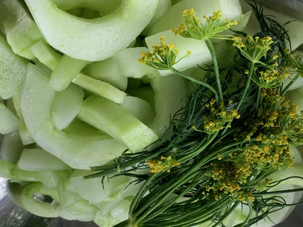 Rezept Honiggurken einkochen! Den Sommer bewahren um die Wärme des Sommers auch im Winter zu geniessen.